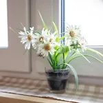Apartment Apartmaji Babi