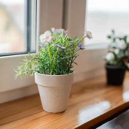 Lägenhet Apartmaji Babi *