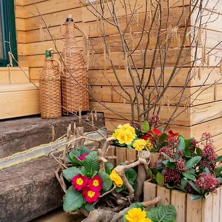 Appartement Apartmaji Babi *